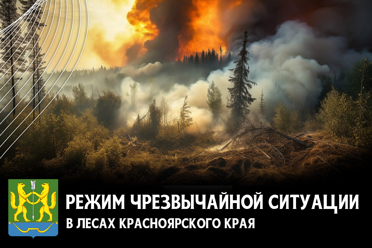 В Красноярском крае введен режим чрезвычайной ситуации в лесах..