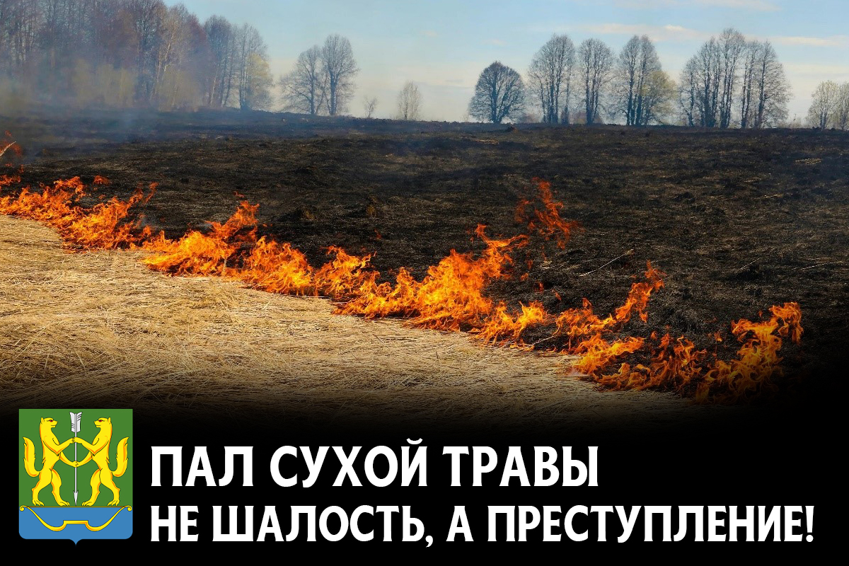 Пал сухой травы - это преступление!.