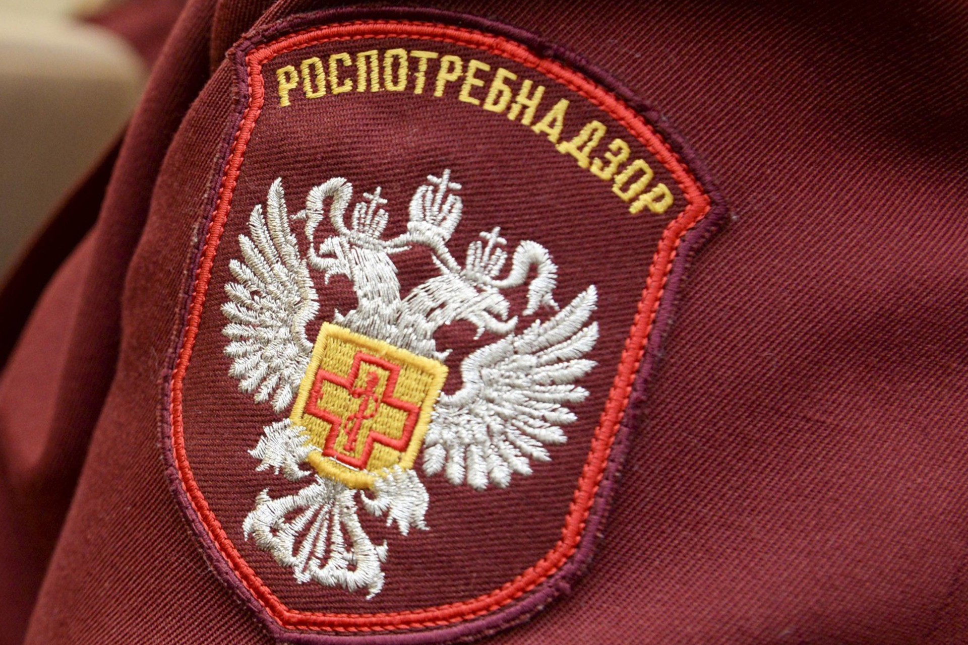 ВАЖНАЯ ИНФОРМАЦИЯ: Горячая линия Роспотребнадзора.