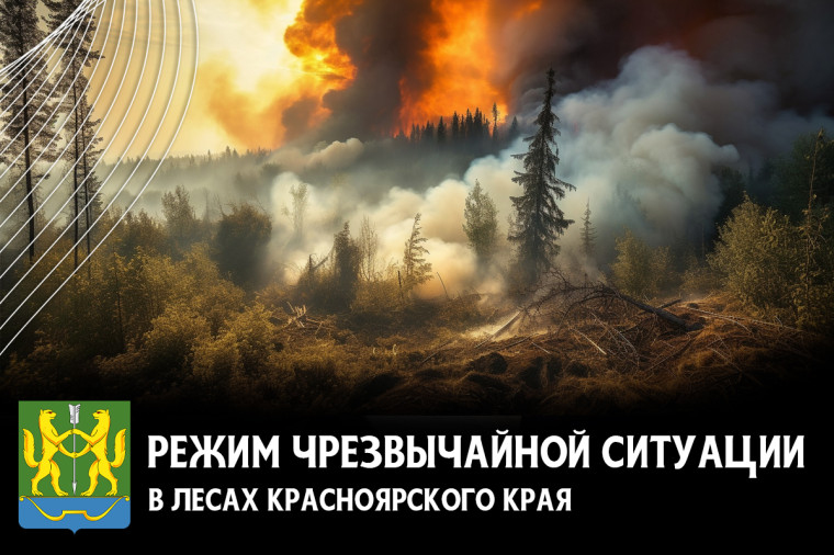 В Красноярском крае введен режим чрезвычайной ситуации в лесах.. В Красноярском крае введен режим чрезвычайной ситуации в лесах..