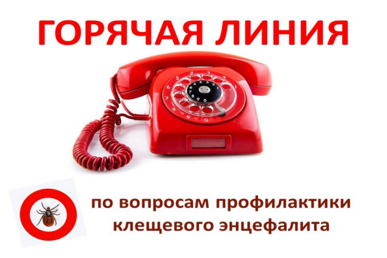 Тематическая «горячая линия» и консультативная помощь для населения по профилактике вирусного клещевого энцефалита. Тематическая «горячая линия» и консультативная помощь для населения по профилактике вирусного клещевого энцефалита.