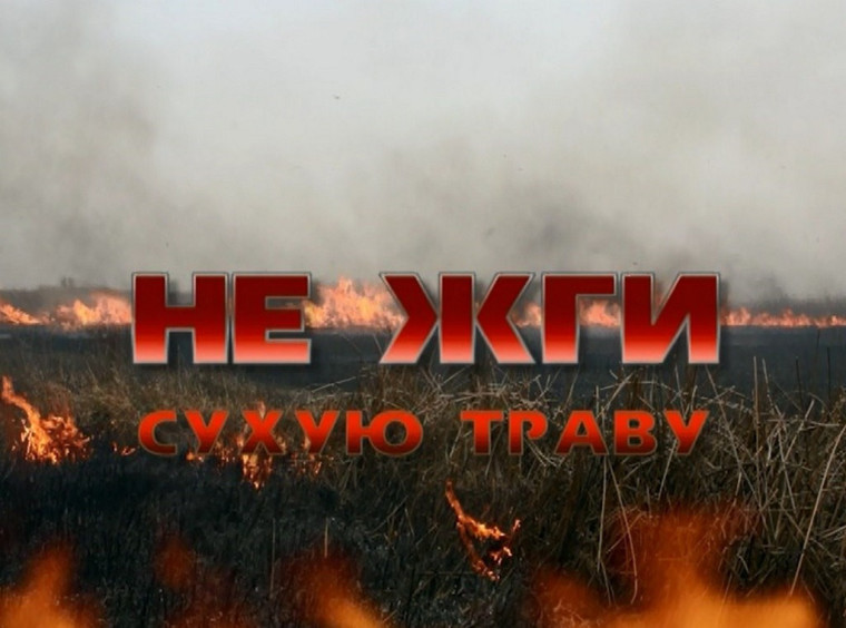 Сжигание сухой травы грозит пожарами. Сжигание сухой травы грозит пожарами.